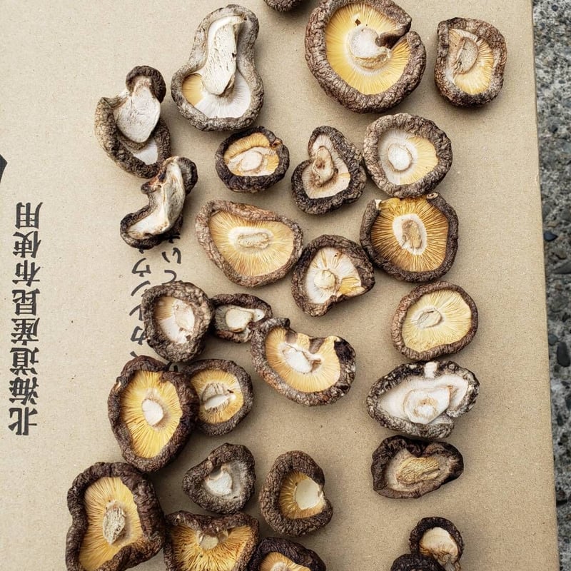 B品干し椎茸500g | 駒形農産のお買い物サイト B品干し椎茸500g | 駒形農産のお買い物サイト
