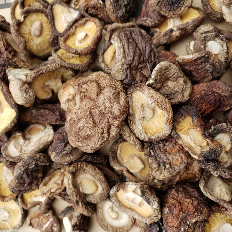 B品干し椎茸500g | 駒形農産のお買い物サイト