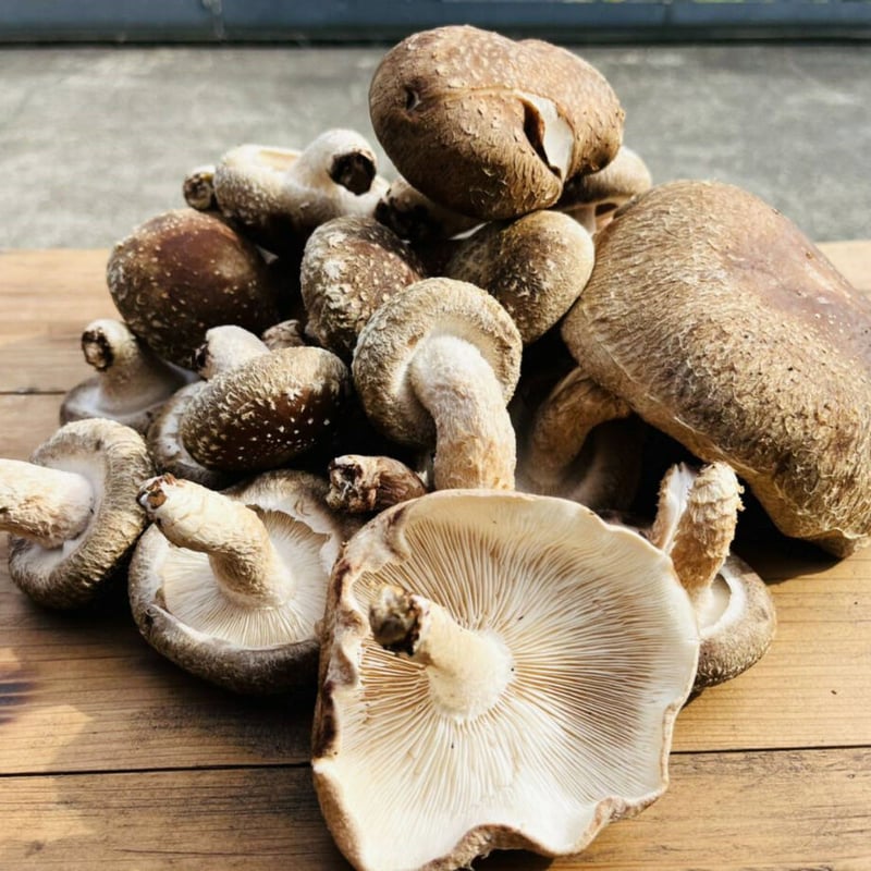 しいたけ(8/13〜14発送手配中止)様 まとめ商品 コーデ売り まとめ売り img03.jpg