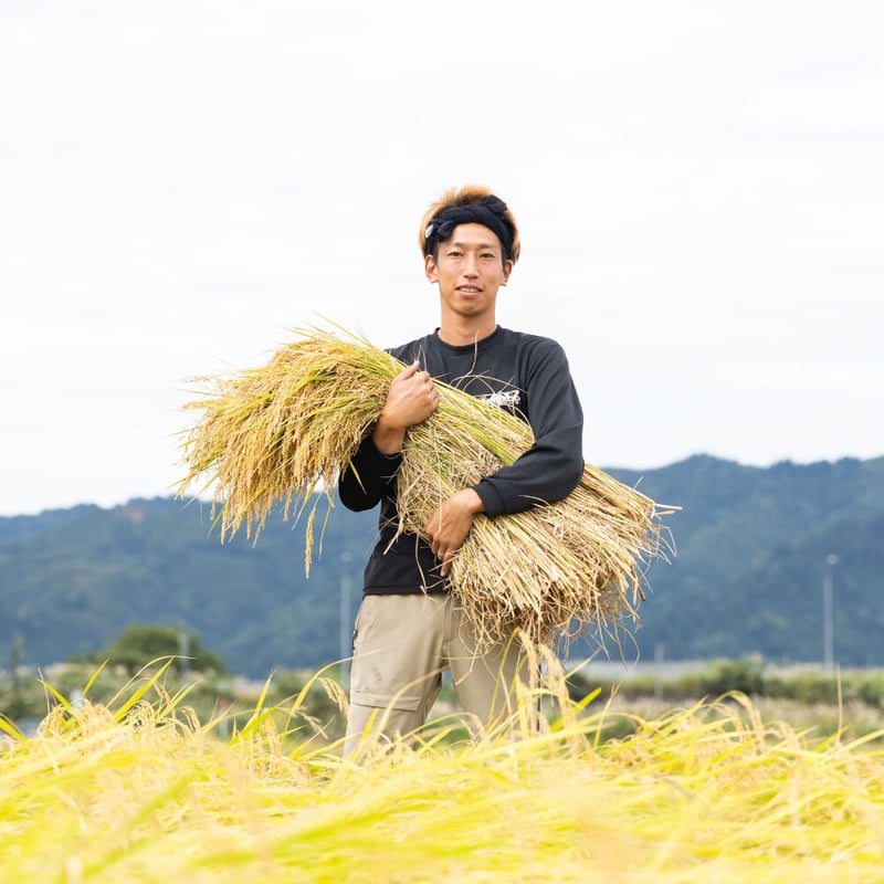 R6年度もち米15kg 農家直送 精米済み 低農薬 高知県産 R6年度もち米15kg 農家直送 精米済み 低農薬 高知県産