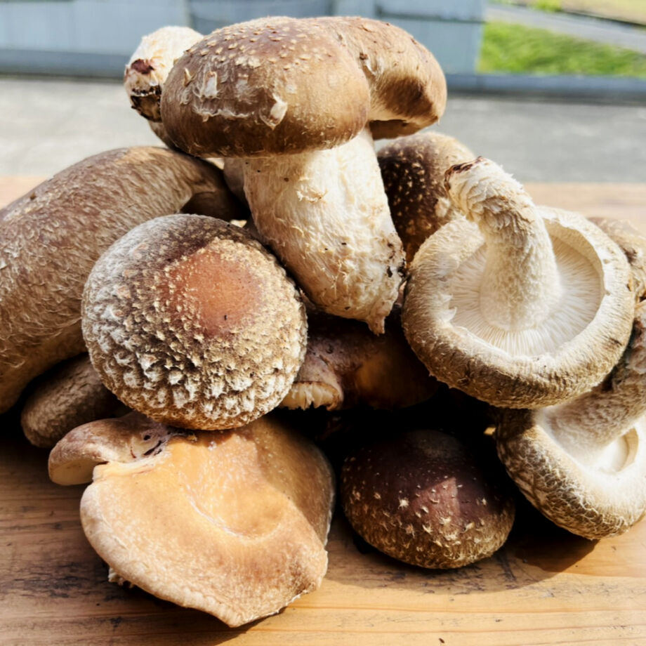 クール便！！当日収穫発送＞小～大ｻｲｽﾞまで！訳あり～開きすぎたなど