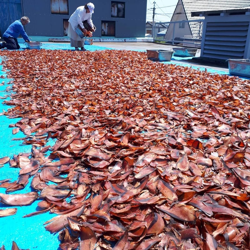 鰹だし削り 500g / 1kg | 竹内商店 土佐節製造 本枯節