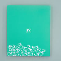 TVガイドクリアフォルダ＜GREEN＞