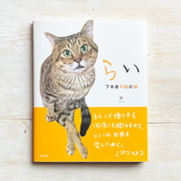 らい　下半身不随の猫