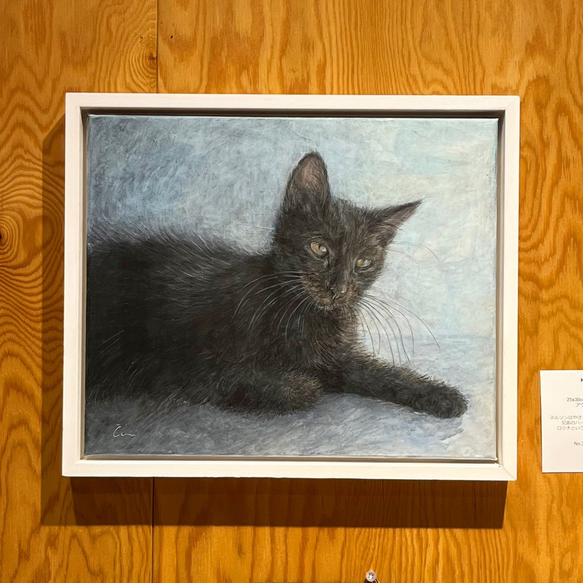 オーダーの品　猫の肖像画 500x0.jpg