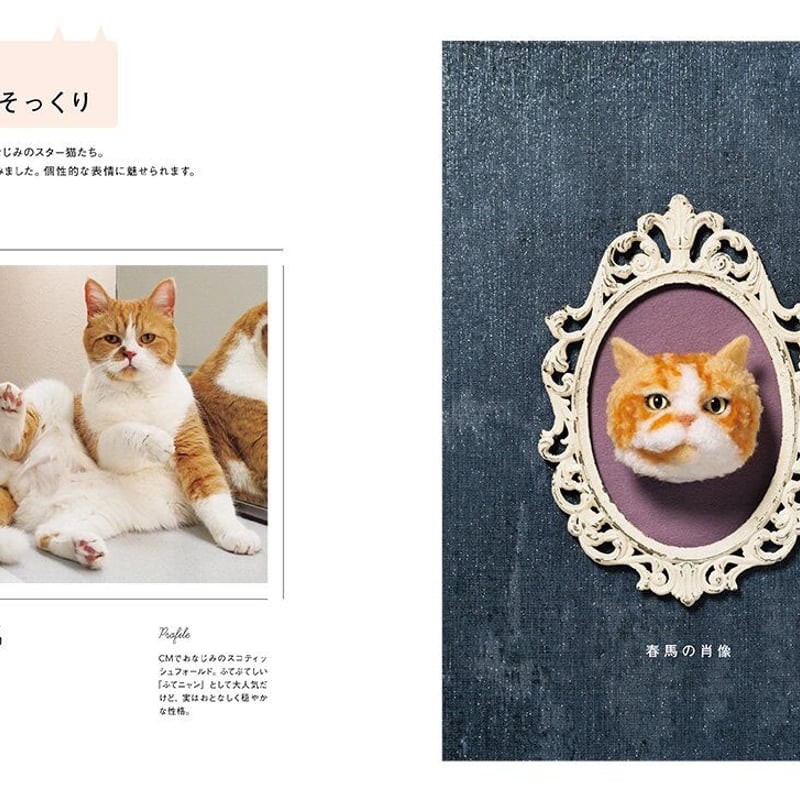 ウチのコそっくりボンボン猫人形 | necoya books web store