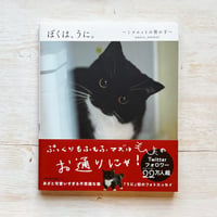 ぼくは、うに。~ミヌエットの男の子~