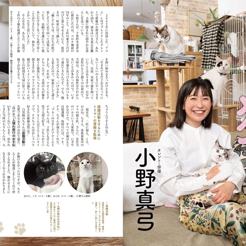 別冊SPA！猫が好きにもほどがある | necoya books web store