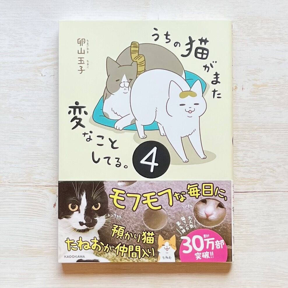 うちの猫がまた変なことしてる 1〜7巻 | necoya books web store