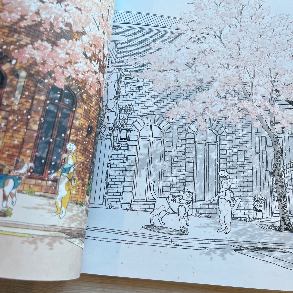 2匹の猫と韓国の四季を旅する塗り絵ブック | necoya books web store