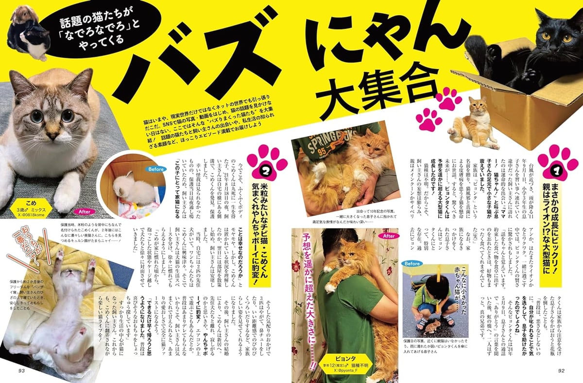 ★ネコハハページ★ 別冊SPA！猫が好きにもほどがある | necoya books web store