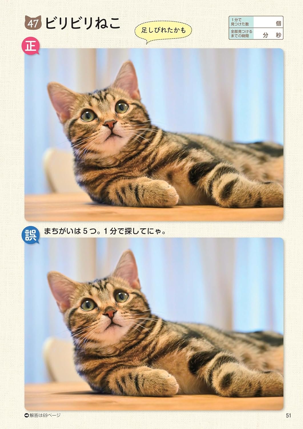 ねこのまちがいさがし11 | necoya books web store