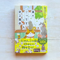 猫がこっちを見る理由