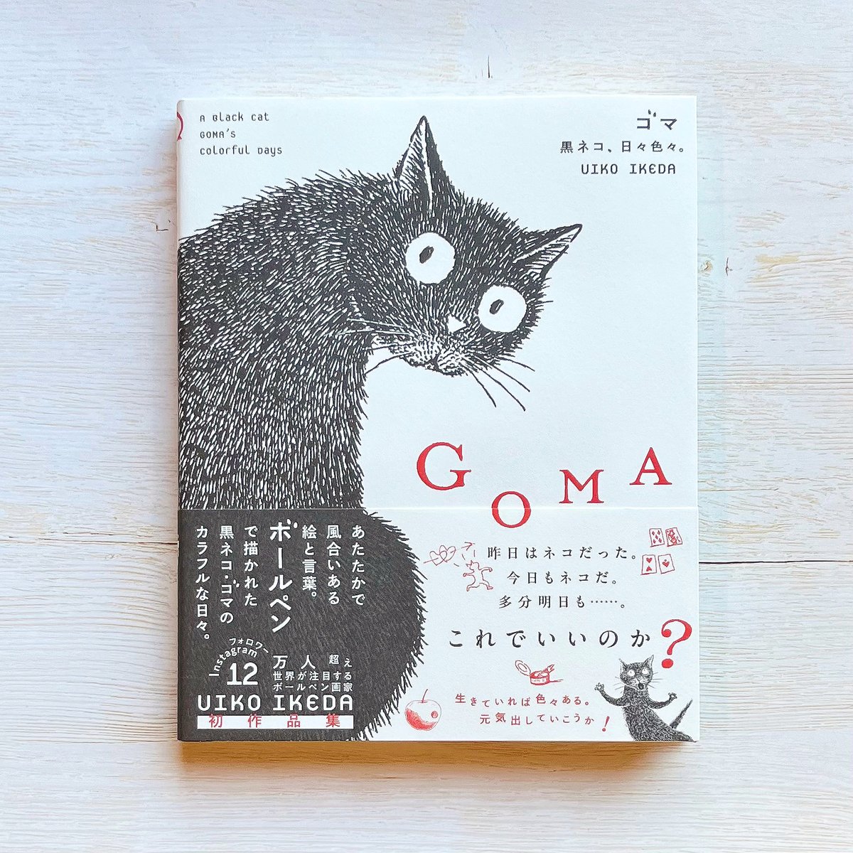 黒*猫様 えなこ　直筆サイン入り　等身大パネル fit=scale-down,w=1200