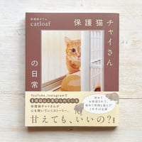 保護猫チャイさんの日常