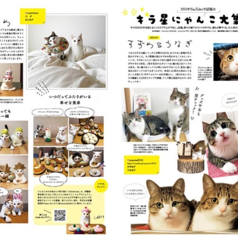 リンネル特別編集 にゃんネル 決定版 ねこと私の幸せな暮らし | necoya