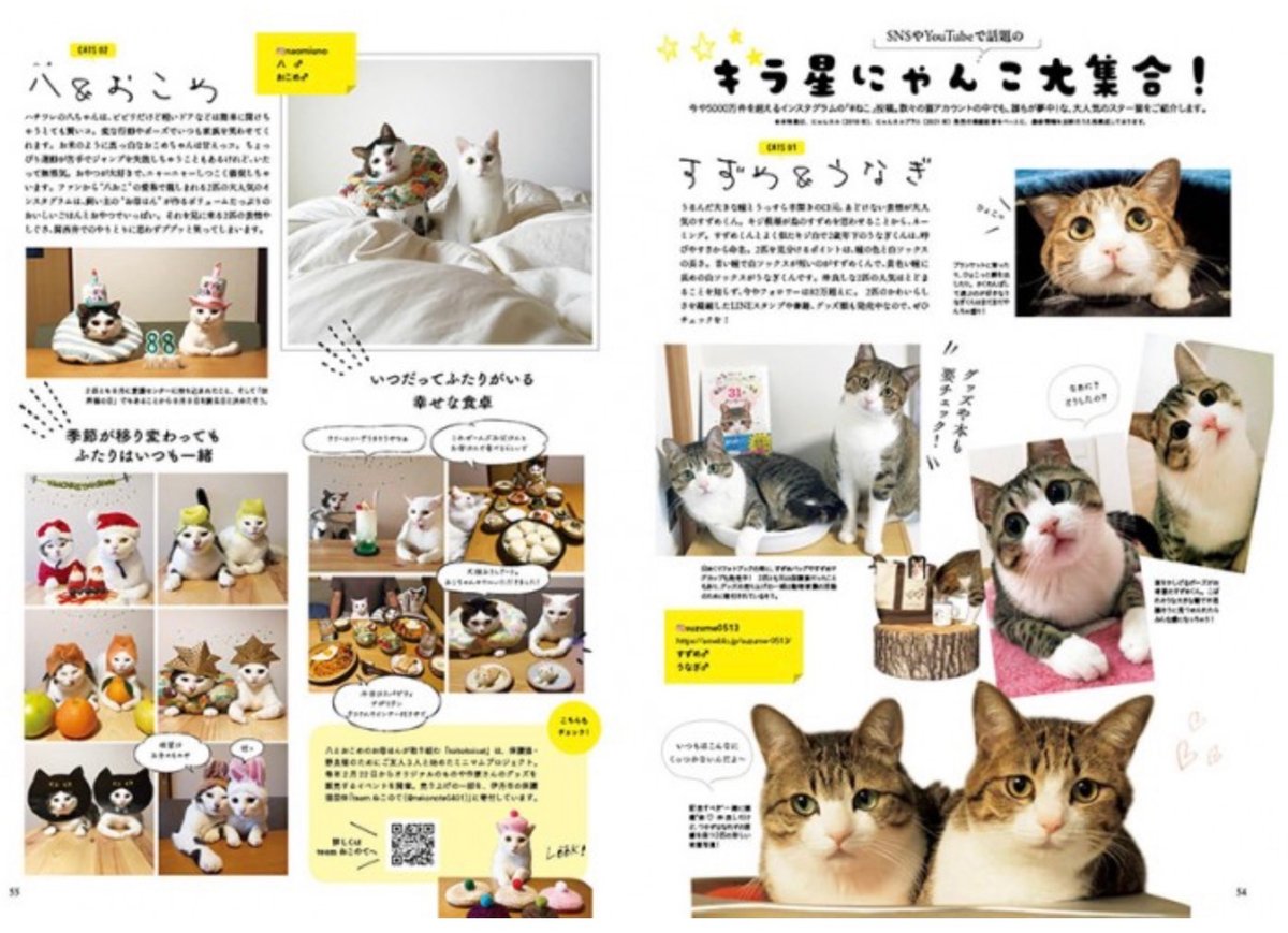 リンネル特別編集 にゃんネル 決定版 ねこと私の幸せな暮らし | necoya