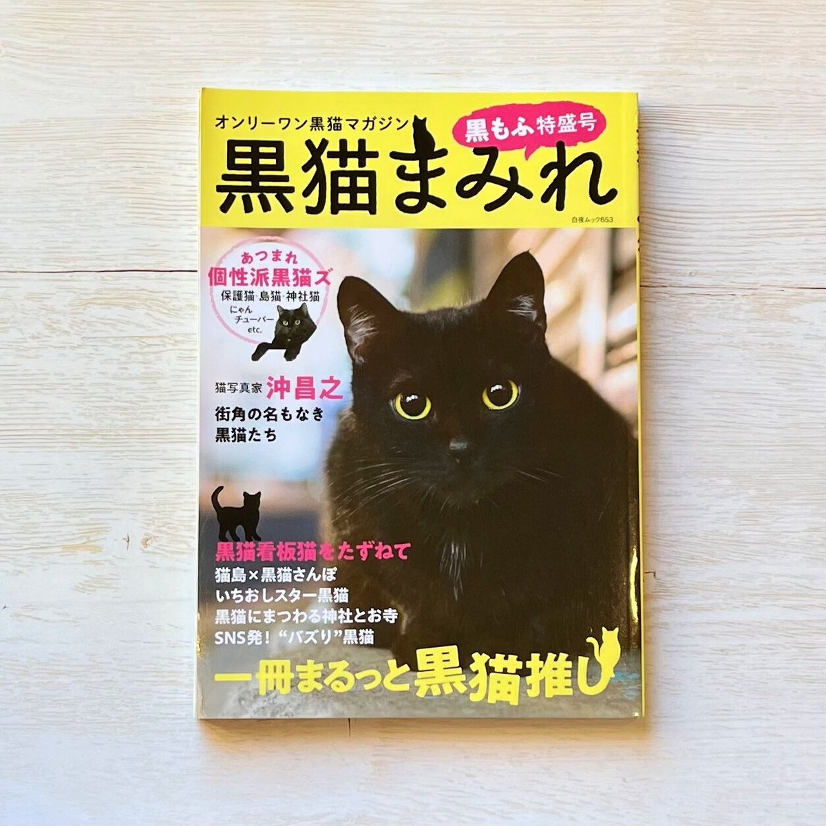 黒猫まみれ 黒もふ特盛号 necoya books web store