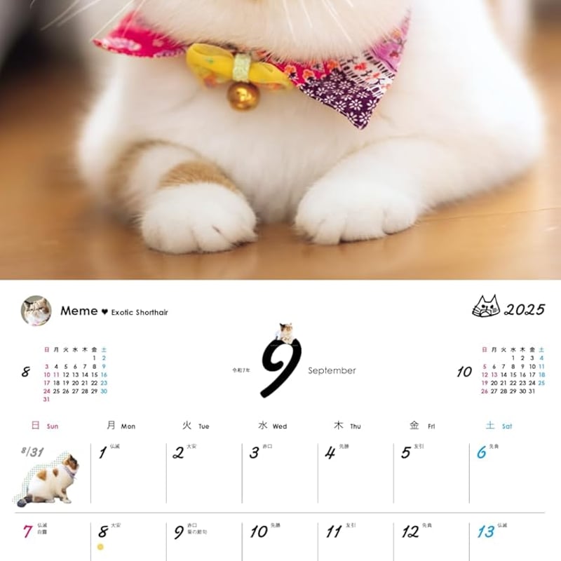 にゃんにゃんにゃんこ カレンダーセット うちのニャンコ。壁掛カレンダー2025 | necoya books web store