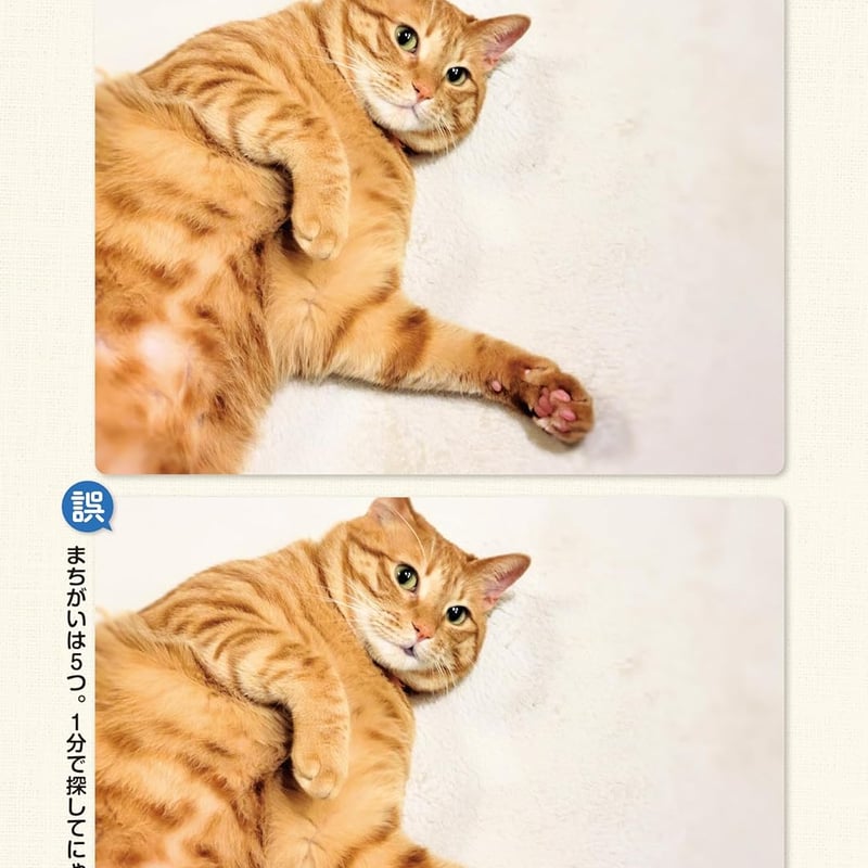 毎日脳活スペシャル 超にゃん問！ ねこのまちがいさがし のびのびねこ
