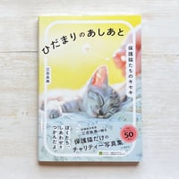 ひだまりのあしあと 保護猫たちのキセキ