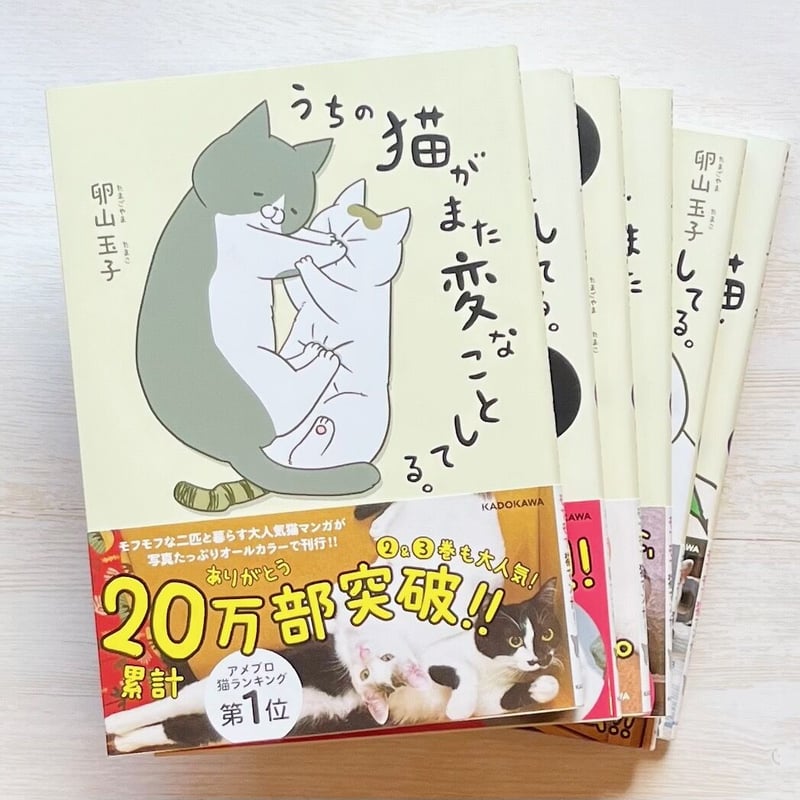うちの猫がまた変なことしてる。（1～8巻） | Cat's Meow Books