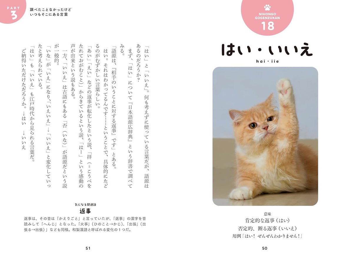 ねこにゃーページ ねこにゃんこれなーんだ？予約開始しました！｜も
