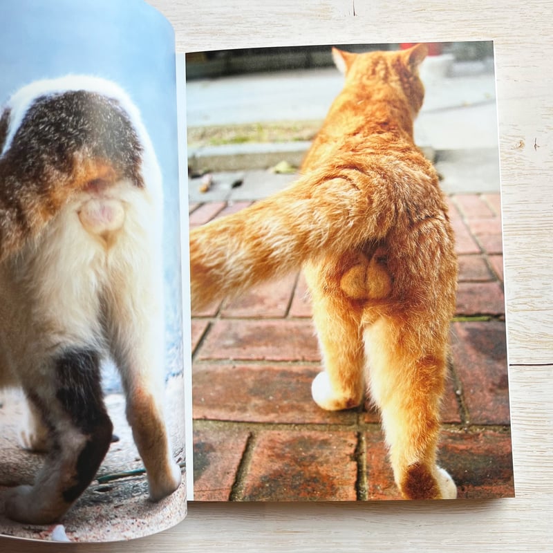 にゃんたま | necoya books web store