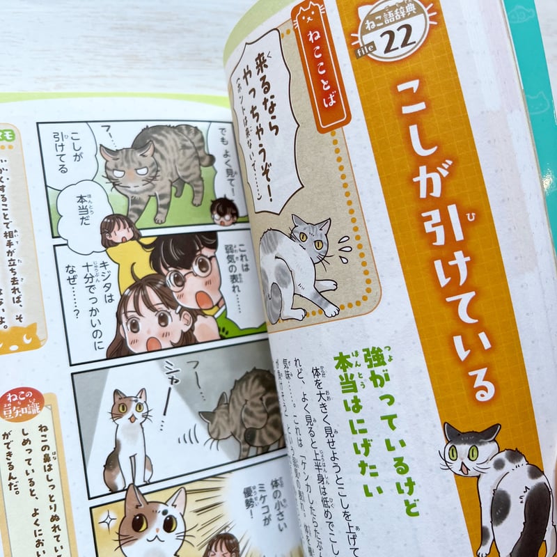 4コマまんがでゆるっとわかる! ねこ語辞典 | necoya books web store