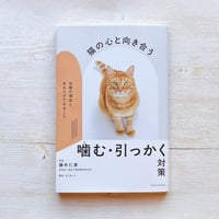 猫の心と向き合う 噛む・引っかく対策 〜攻撃の理由と、あなたができること