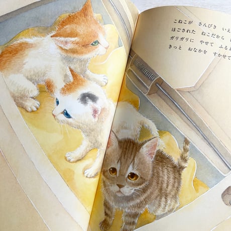 ほごねこそつぎょうしき