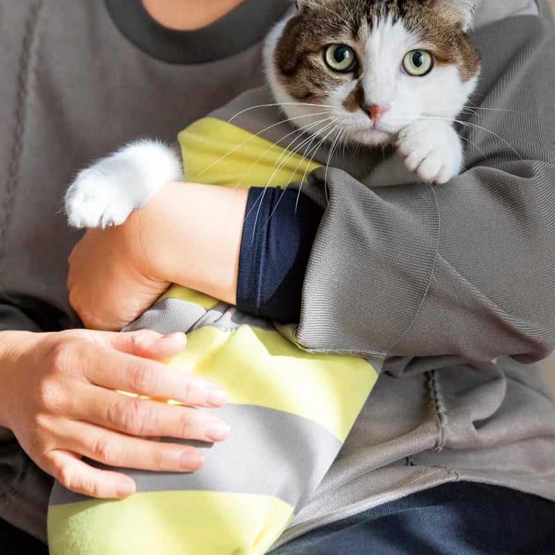 二本足の猫・エースのごきげん日和 | necoya books web store