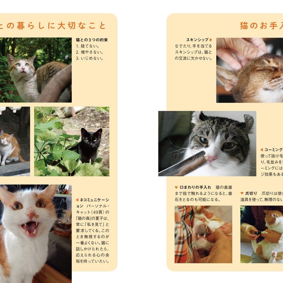63d76f447c42ee5f74d5118e