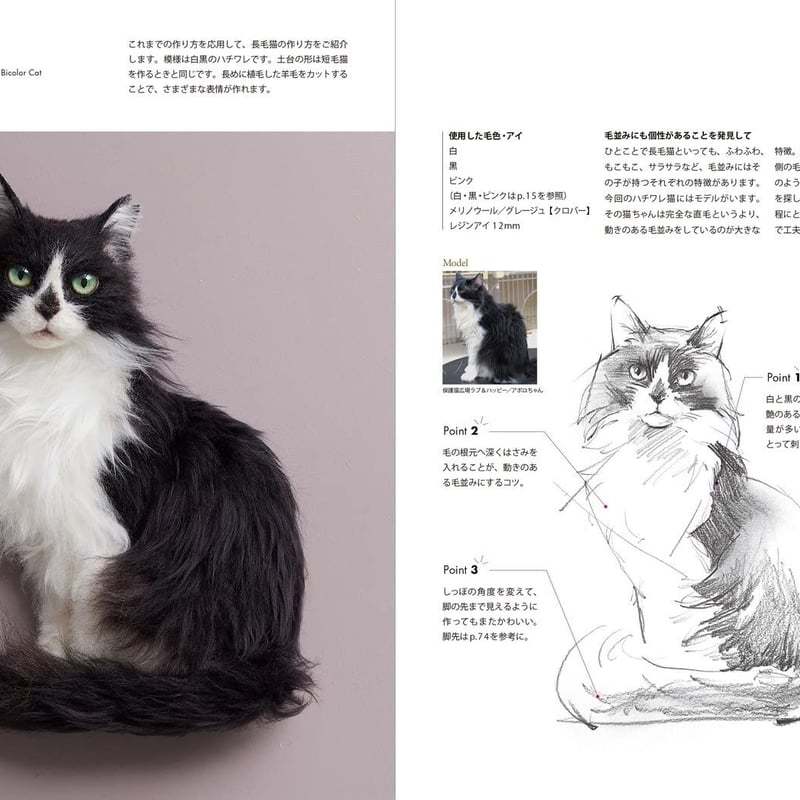 羊毛フェルトから生まれる猫の肖像 「わくねこ」の作り方 | necoya
