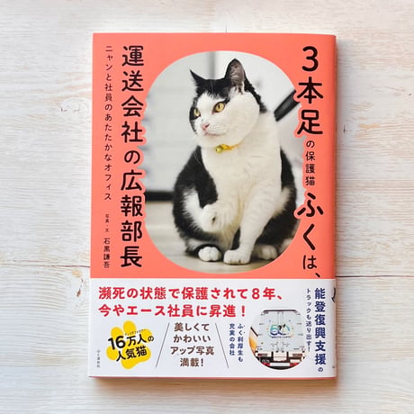 3本足の保護猫ふくは、運送会社の広報部長 ニャンと社員のあたたかなオフィス