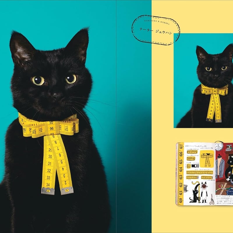 (F4号）安藤絵流「蒼い瞳のねこ」真作/肉筆/表裏にサイン有り/黒猫 Amazon.co.jp: 猫荒木孝介真作 F0号オリジナル技法肉筆絵画/原画