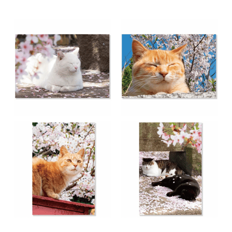 フェルディナン・デスノス、赤い傘の下の猫、希少画集画、新品額装付