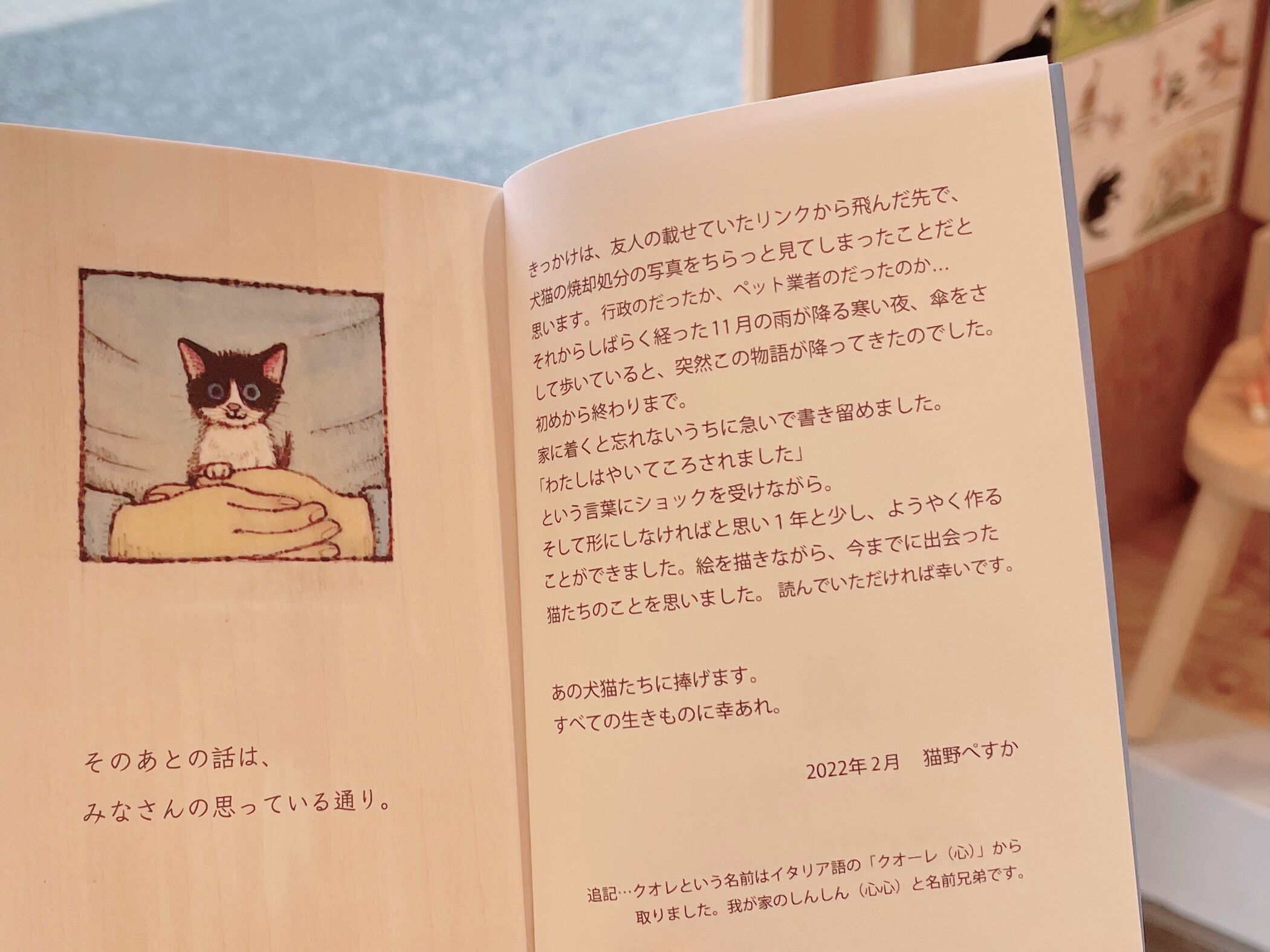 11月の猫』猫野ぺすか（直筆サイン入り） | necoya books web store