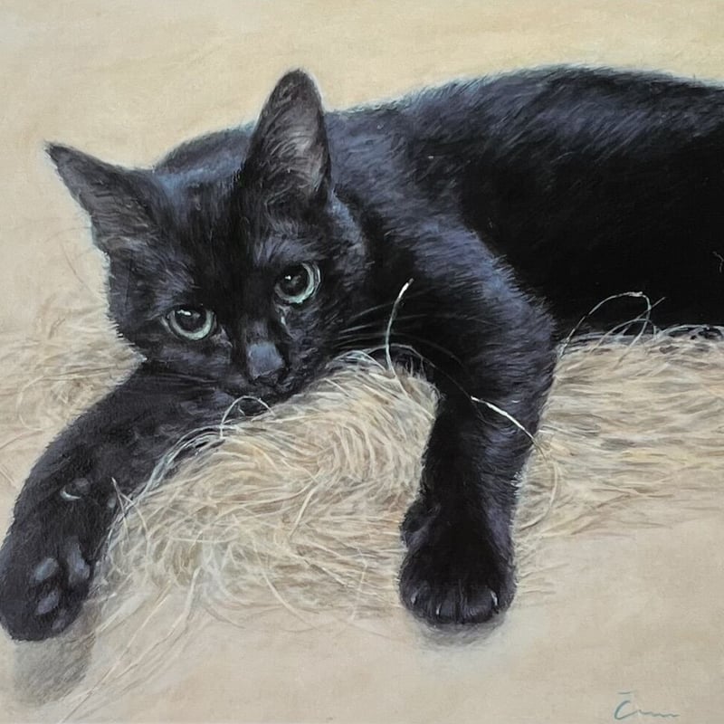 猫B 画像 1 + 12 + 20 楽天市場】1/72 猫好きが認めるネコ 5種セット P35T-029 3D