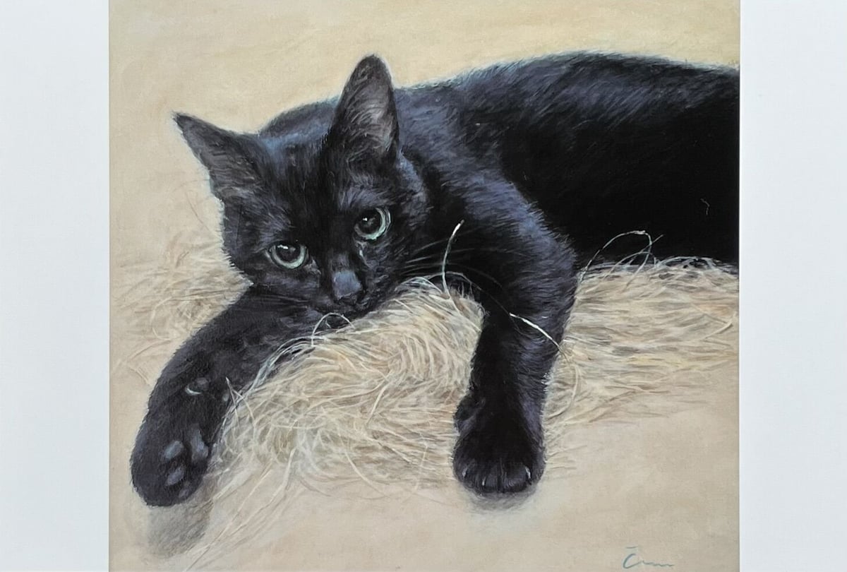 Čimi Cat painter 黒猫ポストカード | necoya books web store