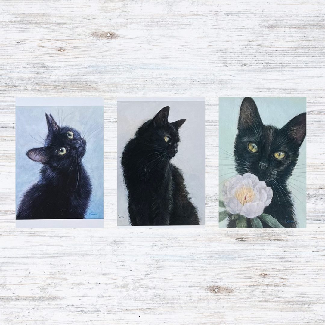 Čimi Cat painter 黒猫ポストカード | necoya books web store