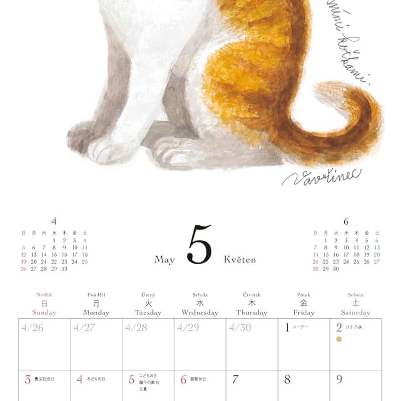 出久根育 チェコの猫の12カ月カレンダー2026壁掛 | necoya books web s