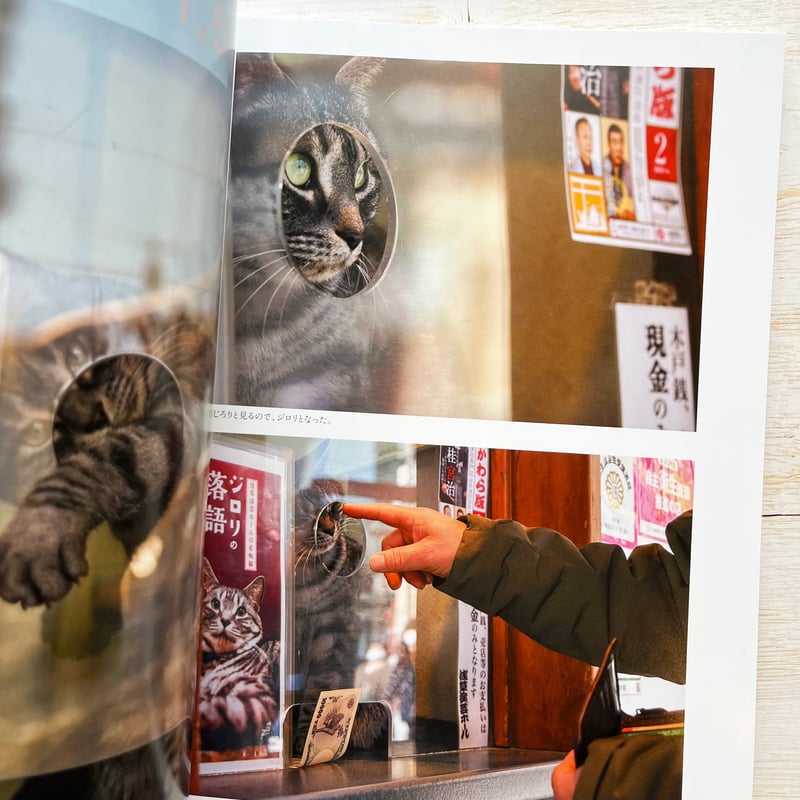 岩合光昭 ニッポン看板猫 | necoya books web store