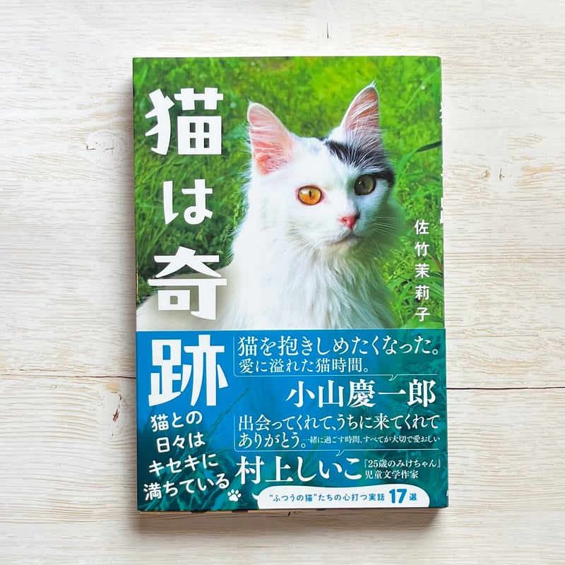 猫蝮 猫は奇跡 | necoya books web store