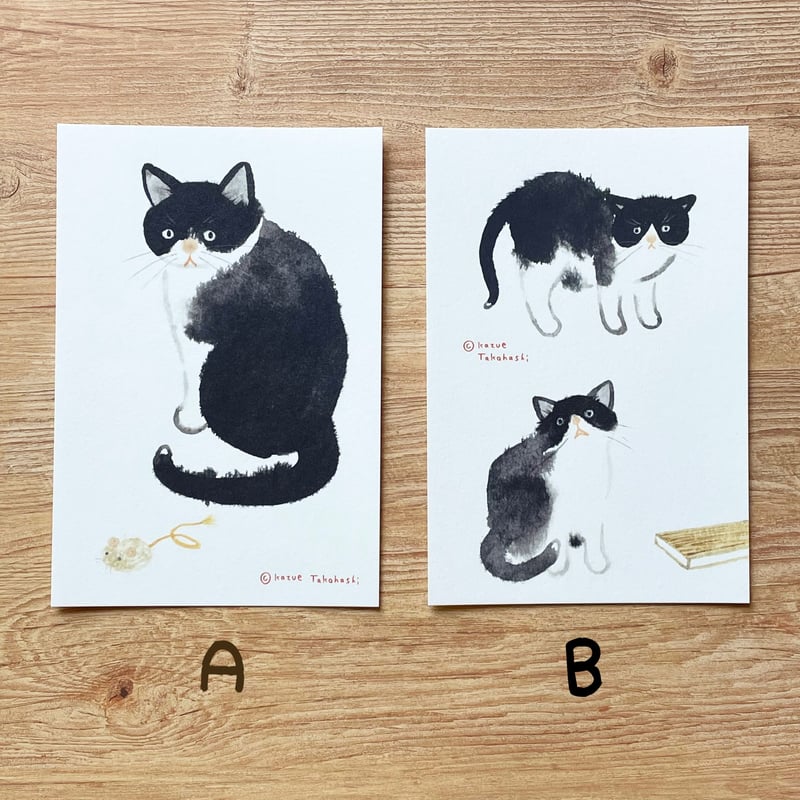 うちのねこ』 ポストカード | necoya books web store