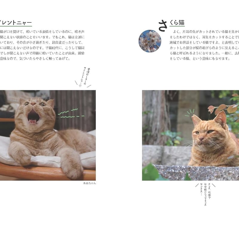 ねこまみれ事典 | necoya books web store