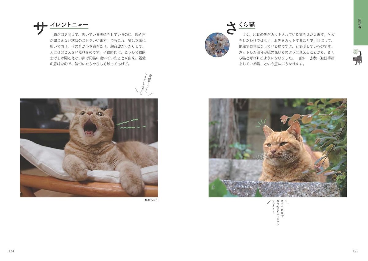 ねこまみれ事典 | necoya books web store
