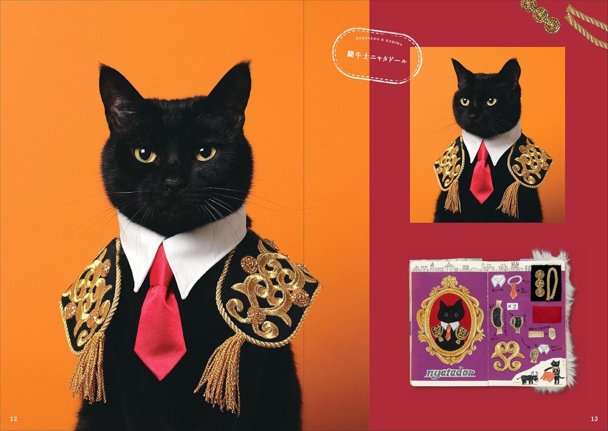 (F4号）安藤絵流「蒼い瞳のねこ」真作/肉筆/表裏にサイン有り/黒猫 油絵 黒猫 F8号 | nuancebeans