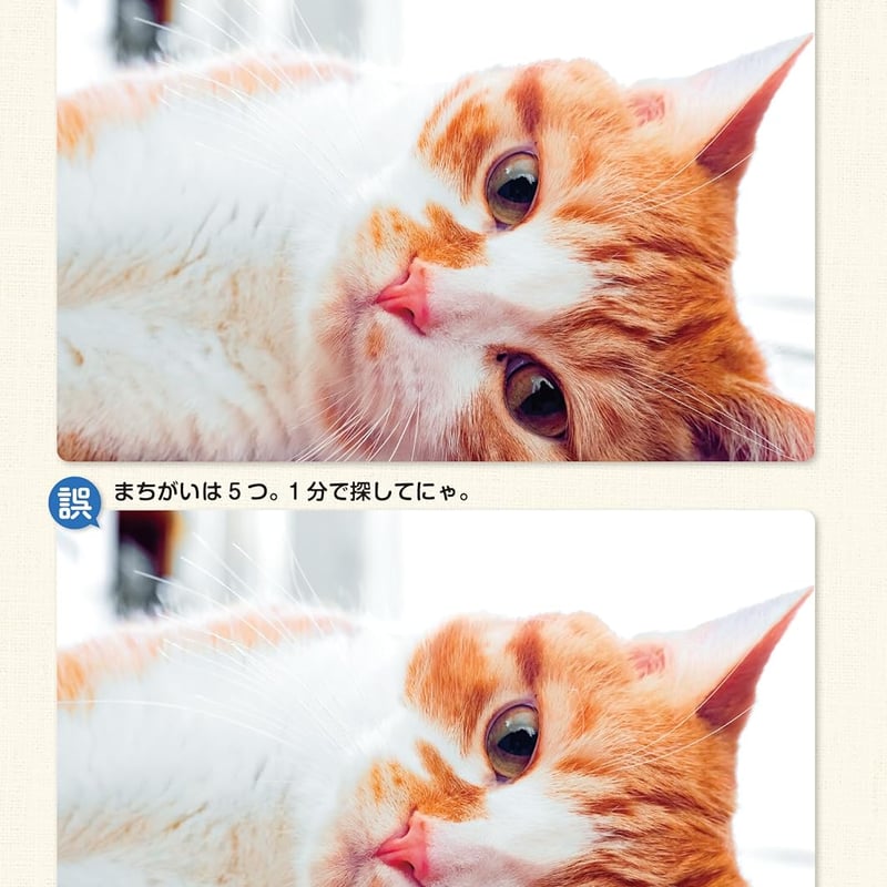 毎日脳活スペシャル 超にゃん問！ ねこのまちがいさがし のびのびねこ