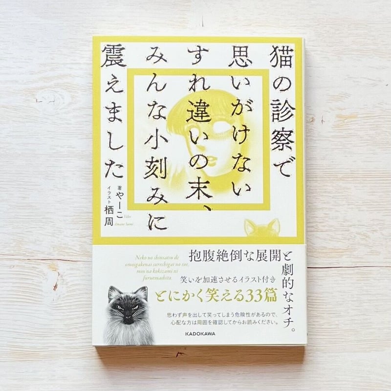 猫の診察で思いがけないすれ違いの末、みんな小刻みに震えました 